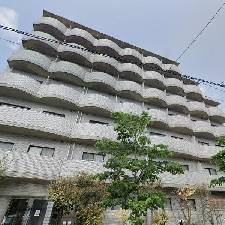 ダミー01